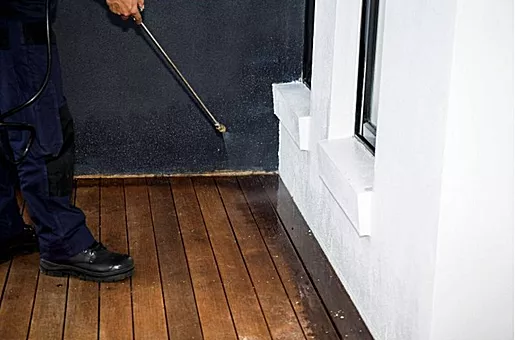 Fumigación y eliminación de Termita