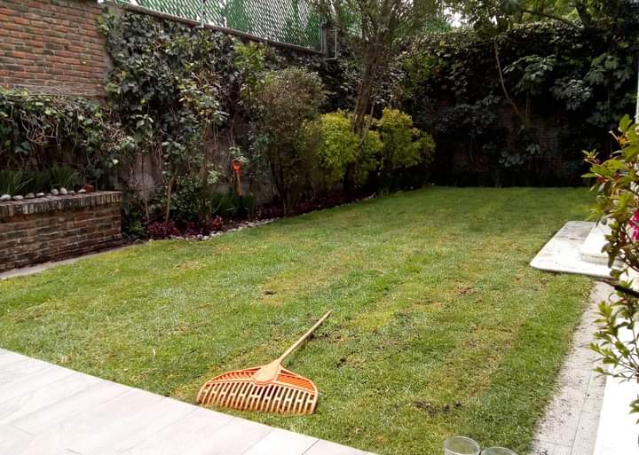 Servicio de jardinería