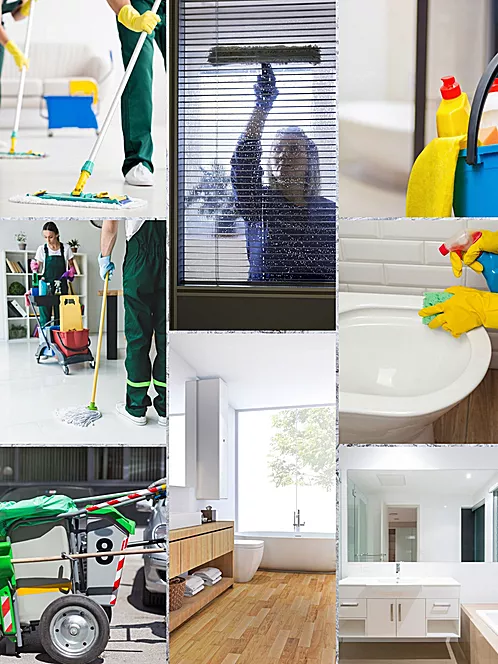 Servicios de limpieza profesional