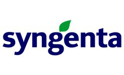 syngenta