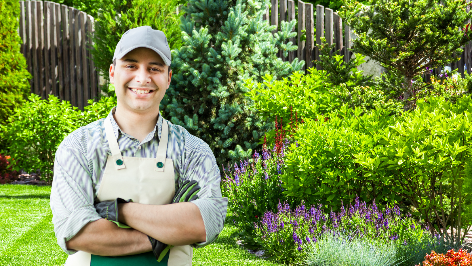 BANNER JARDINERIA