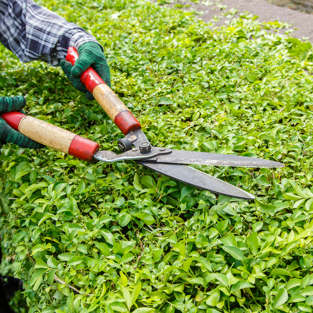 MINIBANNER JARDINERIA